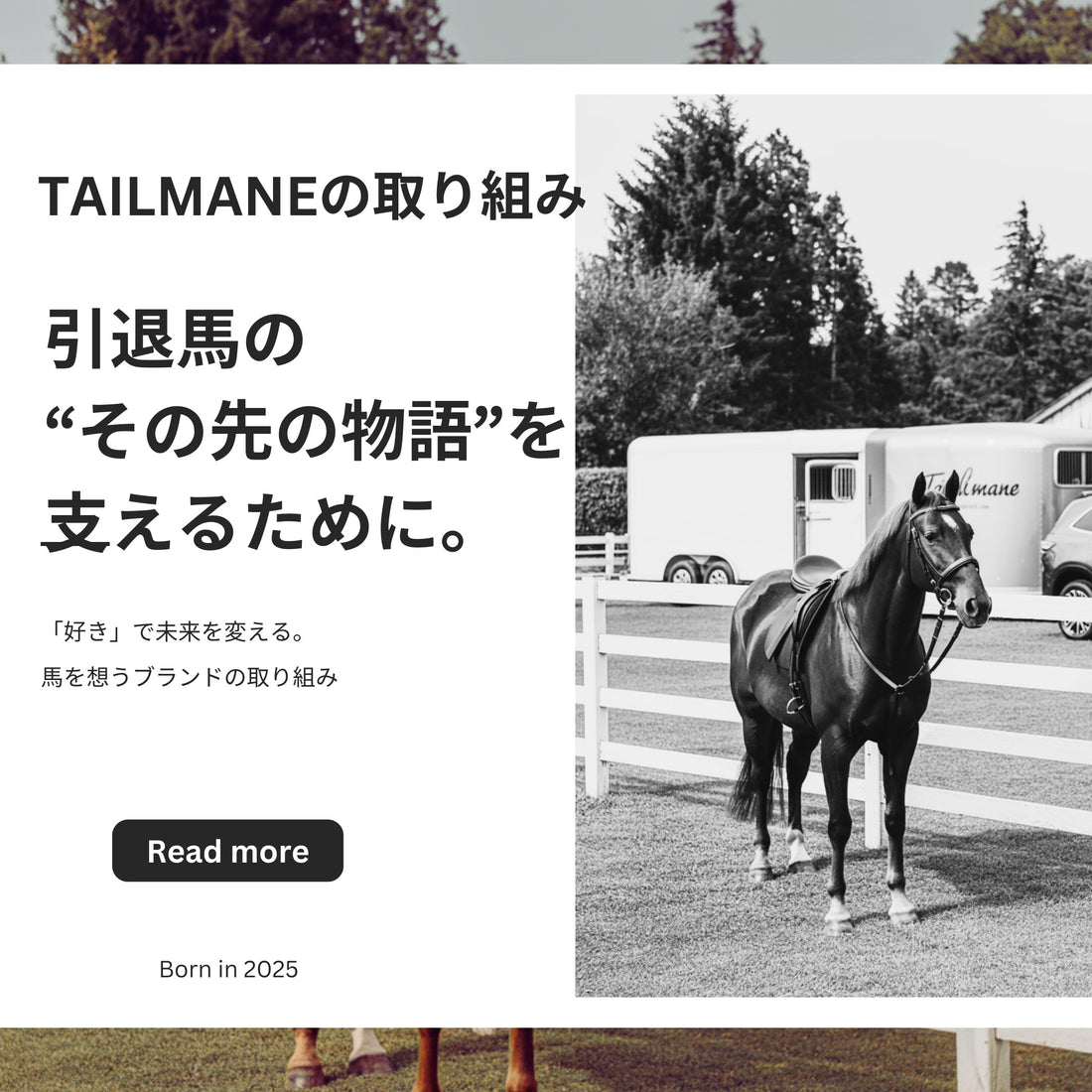 引退馬たちの“その先の物語”を支えるために。～TAILMANEの取り組み～