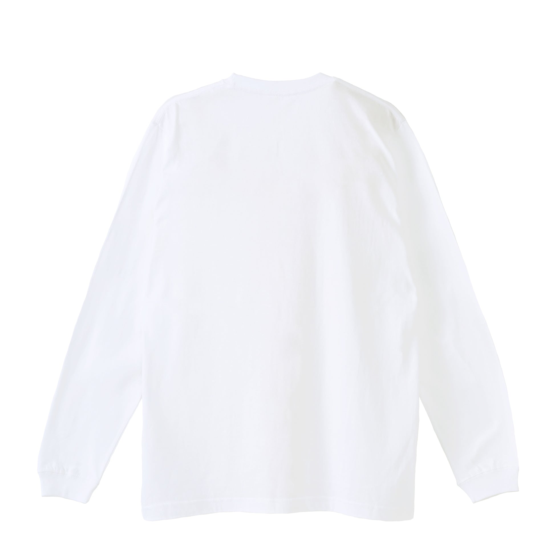 馬たちの旅が始まる  ロングTシャツ T003 全3色 white image