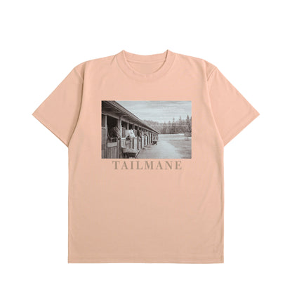 静かな厩舎の朝 Dry Heavy Weight 半袖Tシャツ  7Color T064 dusty-pink image