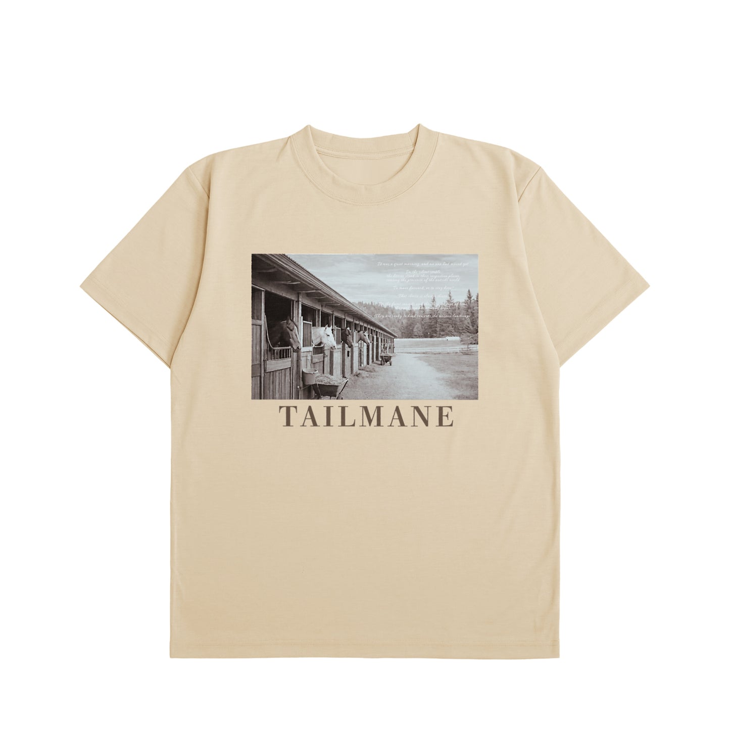静かな厩舎の朝 Dry Heavy Weight 半袖Tシャツ  7Color T064 nuts image